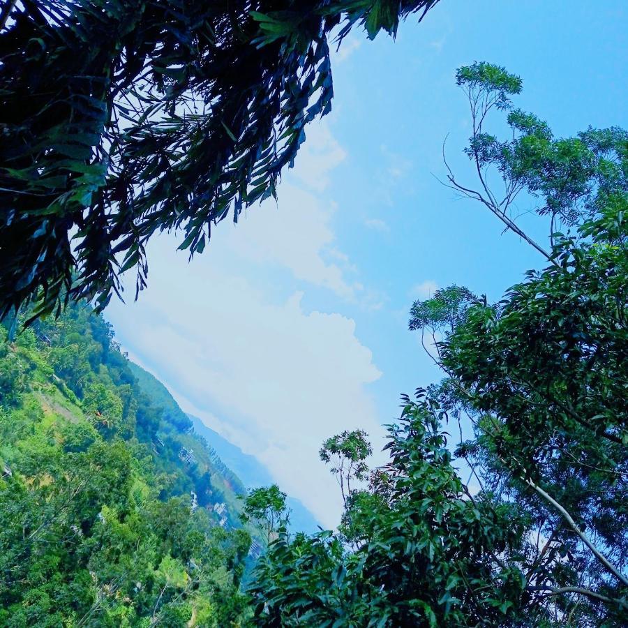 Rose Dale Homestay เอลลา ภายนอก รูปภาพ