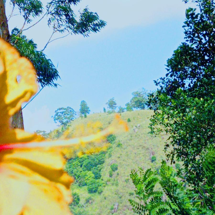Rose Dale Homestay เอลลา ภายนอก รูปภาพ