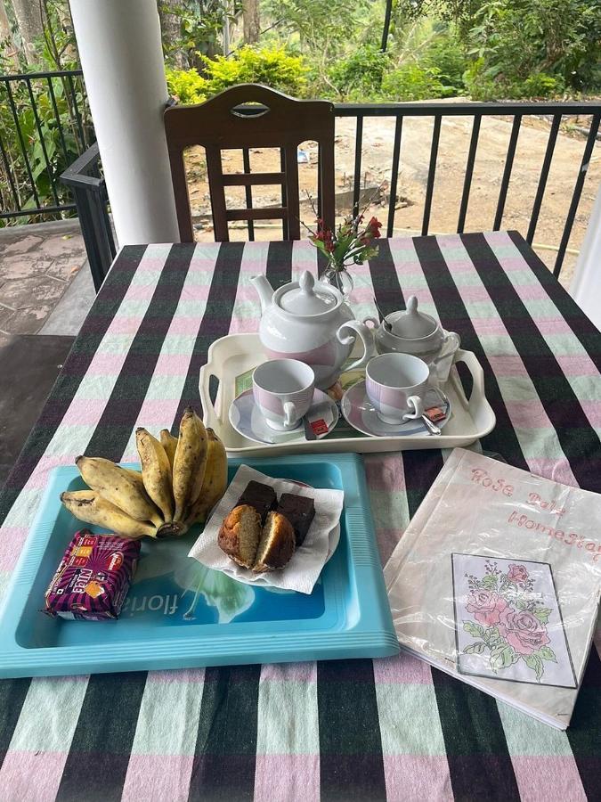 Rose Dale Homestay เอลลา ภายนอก รูปภาพ