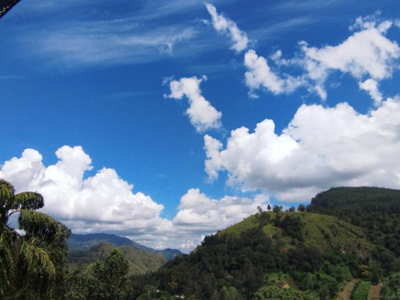 Rose Dale Homestay เอลลา ภายนอก รูปภาพ