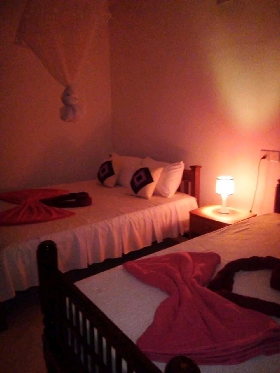 Rose Dale Homestay เอลลา ภายนอก รูปภาพ
