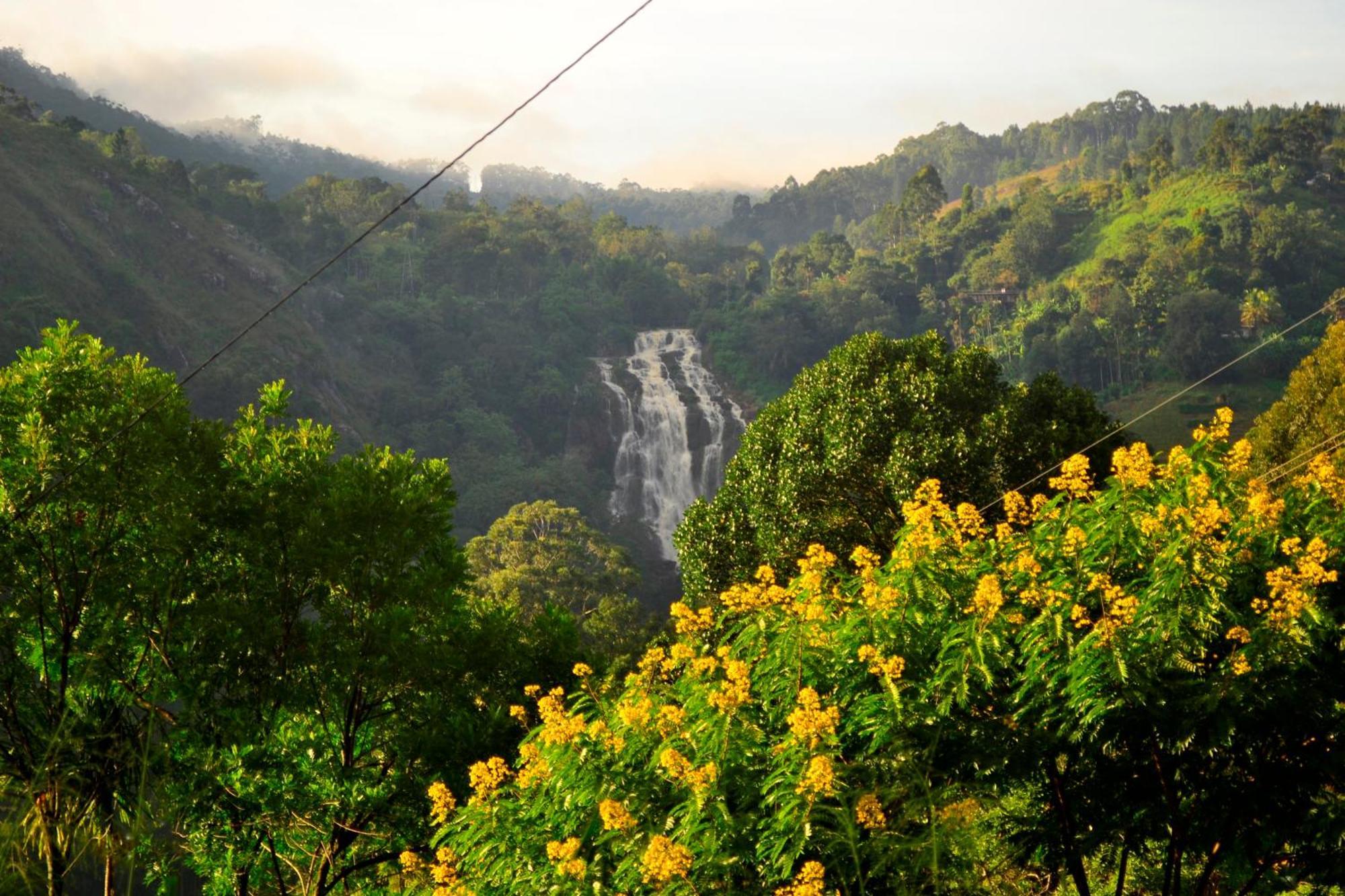 Rose Dale Homestay เอลลา ภายนอก รูปภาพ