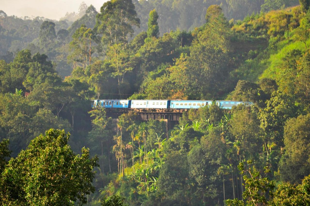 Rose Dale Homestay เอลลา ภายนอก รูปภาพ