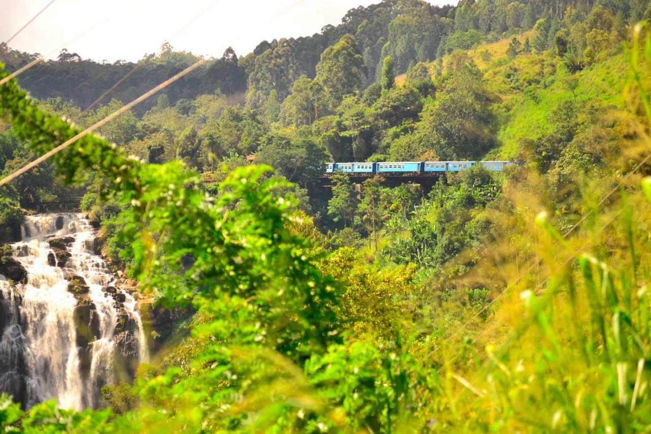 Rose Dale Homestay เอลลา ภายนอก รูปภาพ