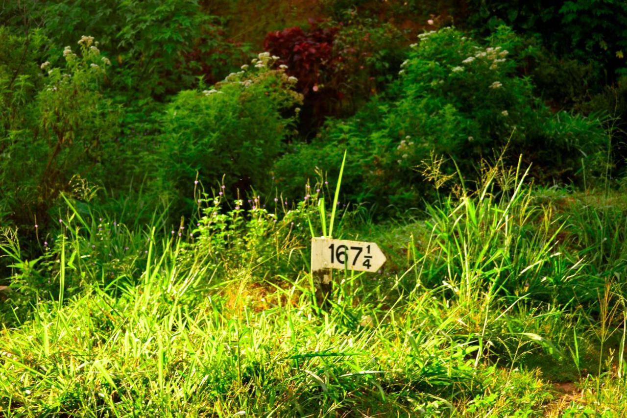 Rose Dale Homestay เอลลา ภายนอก รูปภาพ