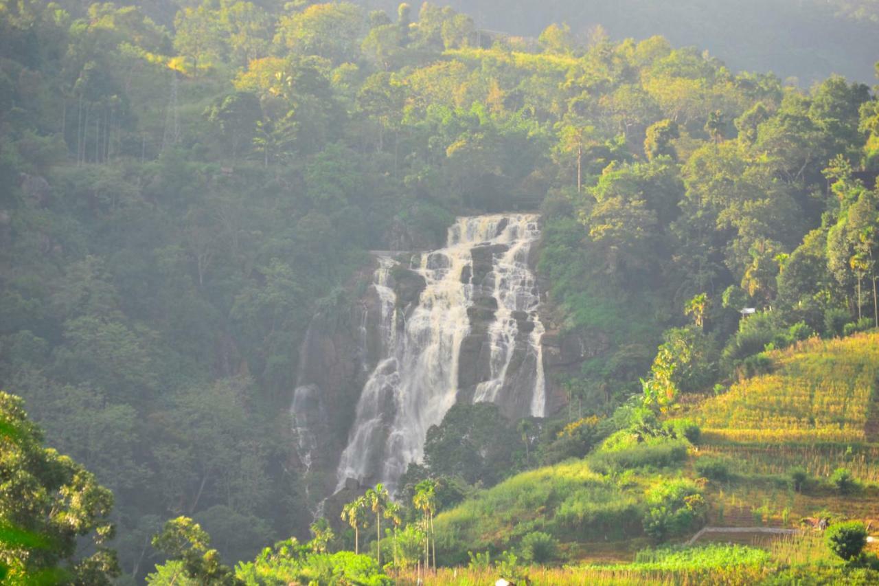 Rose Dale Homestay เอลลา ภายนอก รูปภาพ